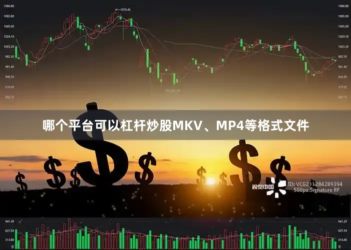 哪个平台可以杠杆炒股MKV、MP4等格式文件